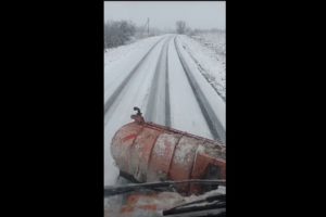 Брянские дорожники отчитались о начале уборки снега на региональных дорогах