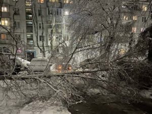 В Брянске возобновлено движение по улице Горького — Госавтоинспекция