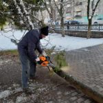 Брянск всё ещё разгребает последствия мокрого снегопада: из сотни упавших деревьев убрано 64