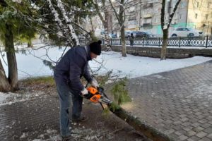 Брянск всё ещё разгребает последствия мокрого снегопада: из сотни упавших деревьев убрано 64