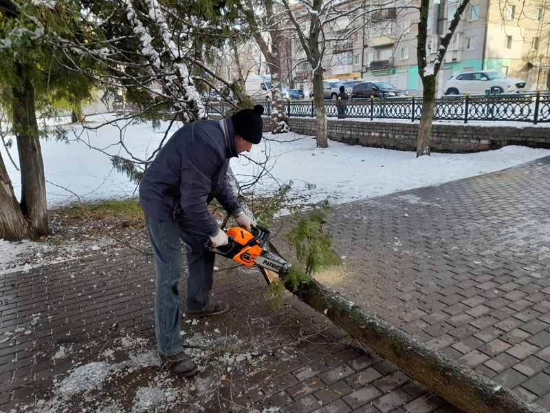 Брянск всё ещё разгребает последствия мокрого снегопада: из сотни упавших деревьев убрано 64