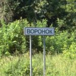 В брянском селе Воронок после атаки дронов ВСУ ранена женщина, повреждены дома и автомобили