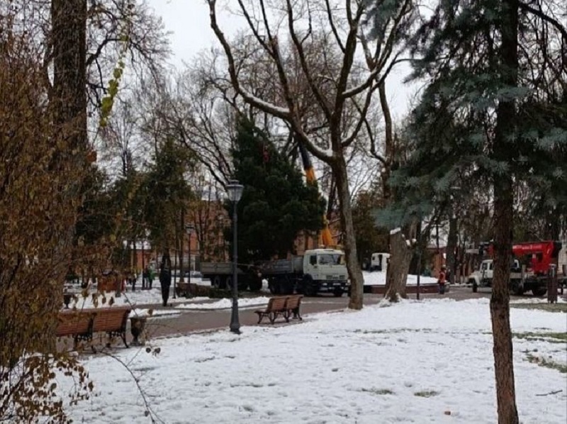 Главная новогодняя ёлка установлена в самом центре Брянска