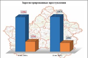 Криминальная статистика: с начала года в Брянской области зарегистрировано 13 тыс. преступлений