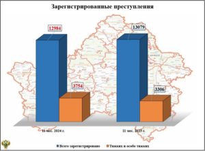 Криминальная статистика: с начала года в Брянской области зарегистрировано 13 тыс. преступлений