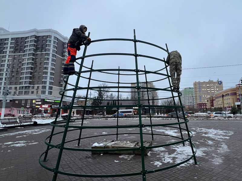 Первая городская ёлка в Брянске появится на Кургане Бессмертия