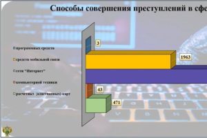 Криминальная статистика: больше половины брянских киберпреступлений в 2024 году пришлось на кибермошенничества