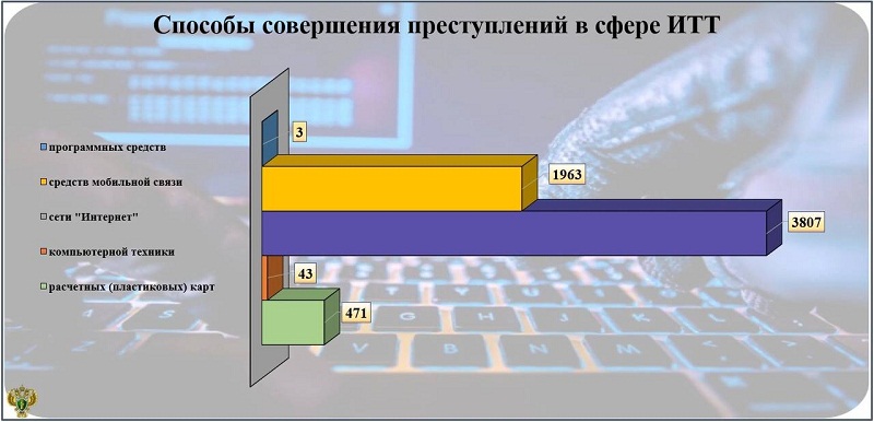 Криминальная статистика: больше половины брянских киберпреступлений в 2024 году пришлось на кибермошенничества