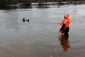 Брянские спасатели обследовали полсотни километров дна Десны в поисках 14-летнего подростка