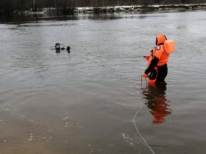 Брянские спасатели обследовали полсотни километров дна Десны в поисках 14-летнего подростка