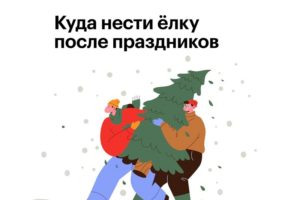 Пик выброшенных новогодних ёлок в Брянской области пришёлся на дни после Крещения