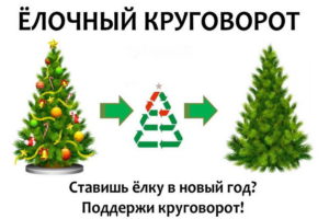 «Российский экологический оператор» выложил в интернет карту сбора «отработанных» новогодних ёлок